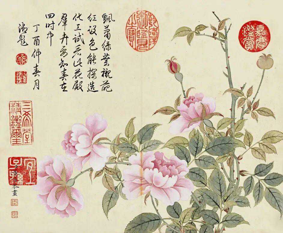 董诰没骨花卉，娇艳动人。董诰（1740-1818年），字西京，号蔗林，一号柘林，