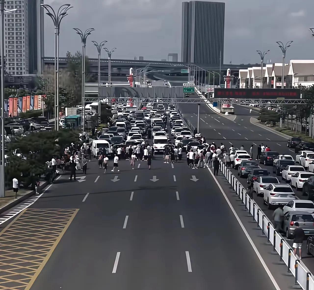 7月22日我是临沂人但是这个树拍易购没听说过。事情已经发生，占便宜吃大亏，哪能这