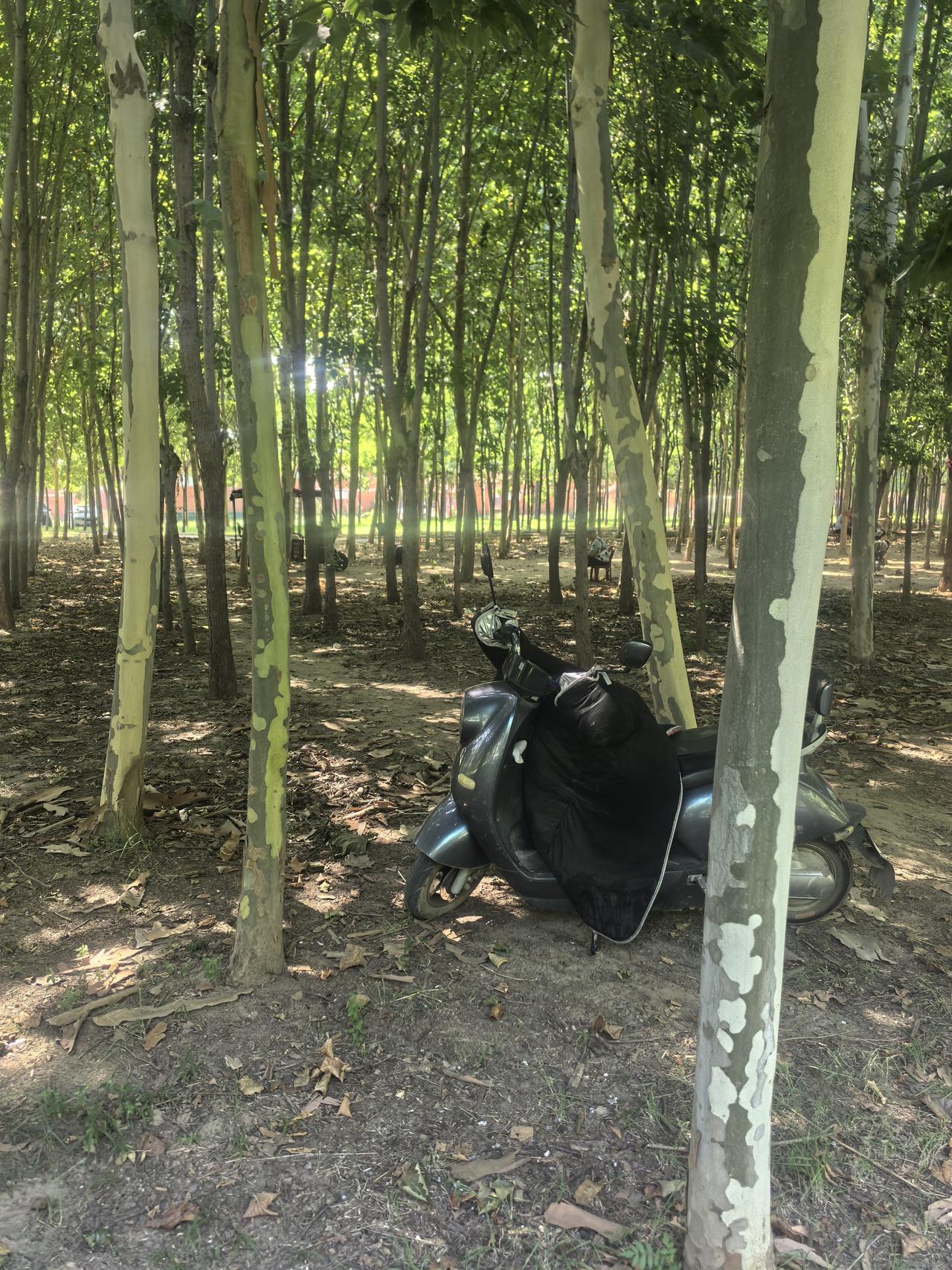 今儿派我的研究生儿子，下乡去农村办一件事，一要见到村干部，二要见到乡干部。先去