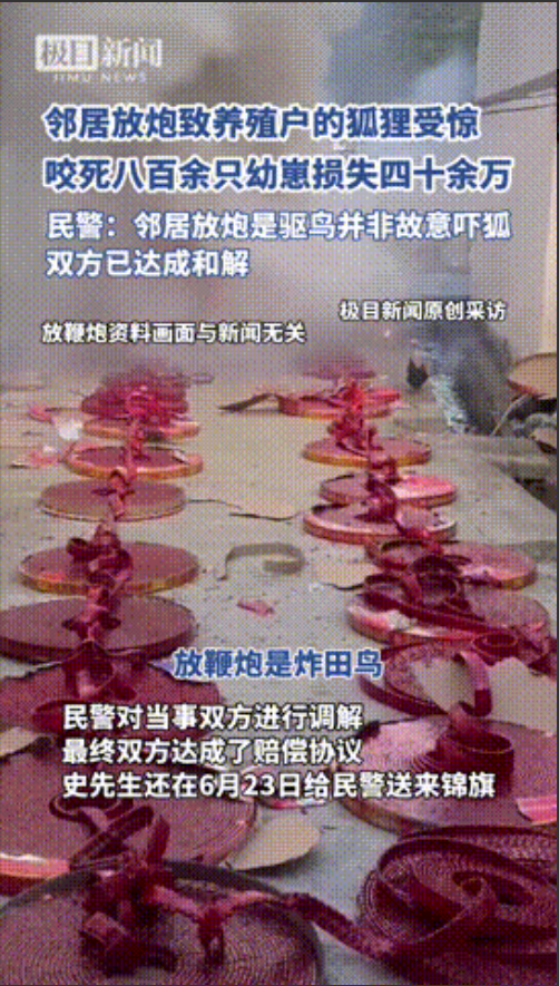 “倒霉到家了！”内蒙古，一村民因办活动放鞭炮，造成邻居家养殖的狐狸受到惊吓，八百
