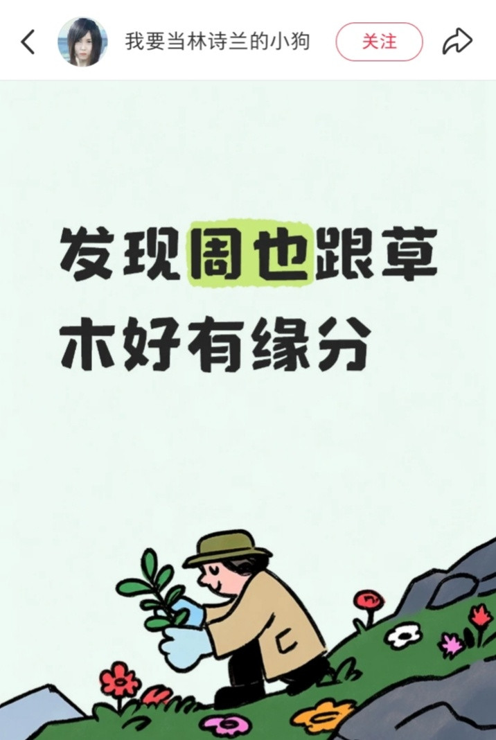 好会说噢
