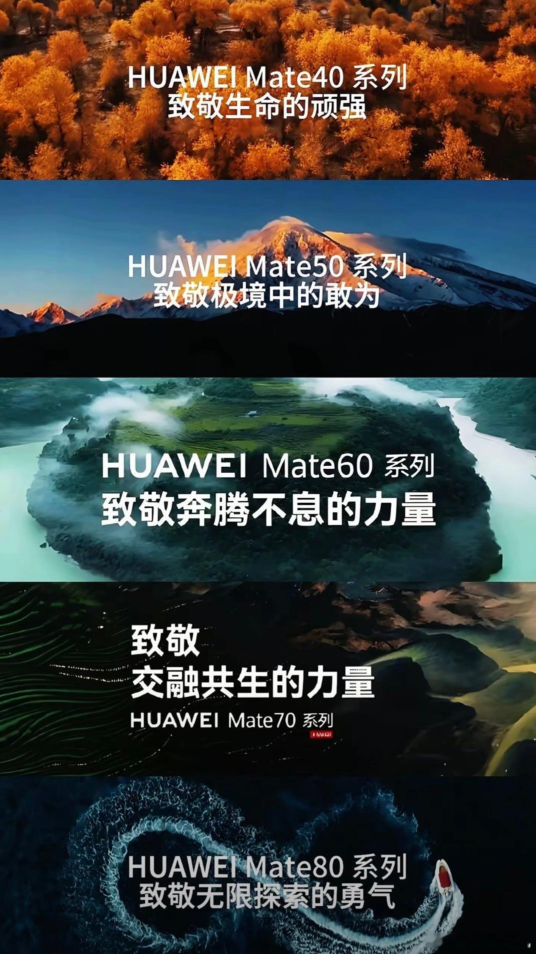 9月的华为Mate90系列会致敬什么呢？华为Mate40系列：致敬生命的顽强华为