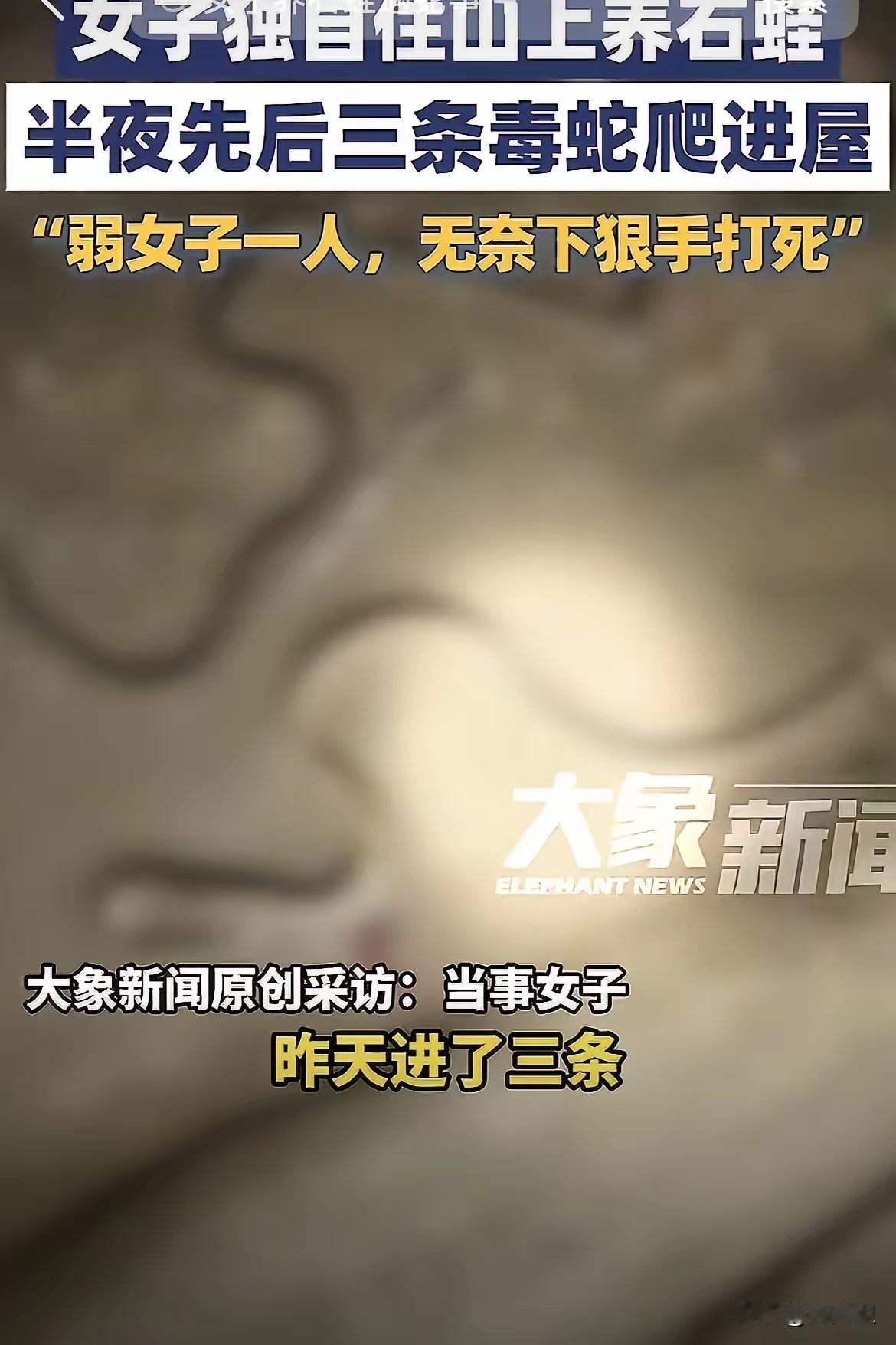 胆子真大！湖南永州一女子为了方便住在山里养石蛙，山中常常有蛇鼠出没，每晚睡前都