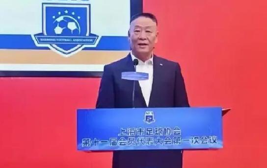 上海这座两千多万人口的城市，只配了八个副市长，但上海足协的名单上，却能挤出