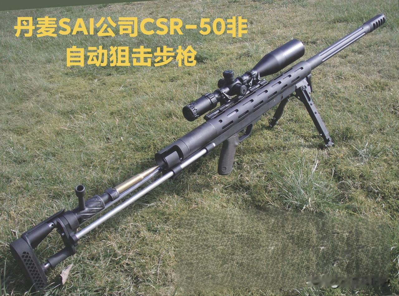 丹麦SAI公司CSR-50非自动狙击步枪SAI（也就是轻武器工业公司，专做轻兵