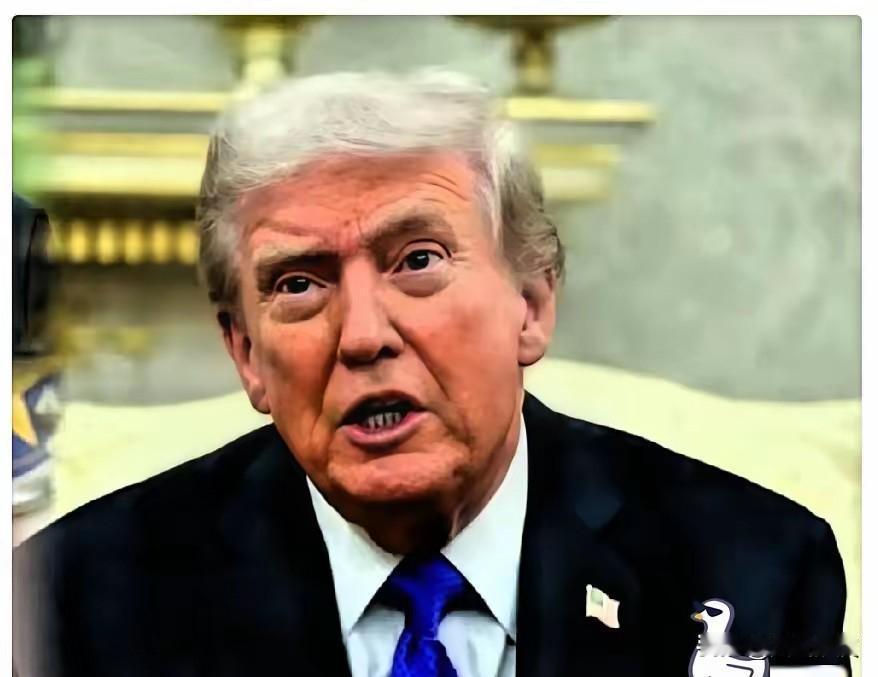 刚刚刷到特朗普的新闻，差点把刚喝进去的茶喷出来。2月11日，特朗普突然宣布，把