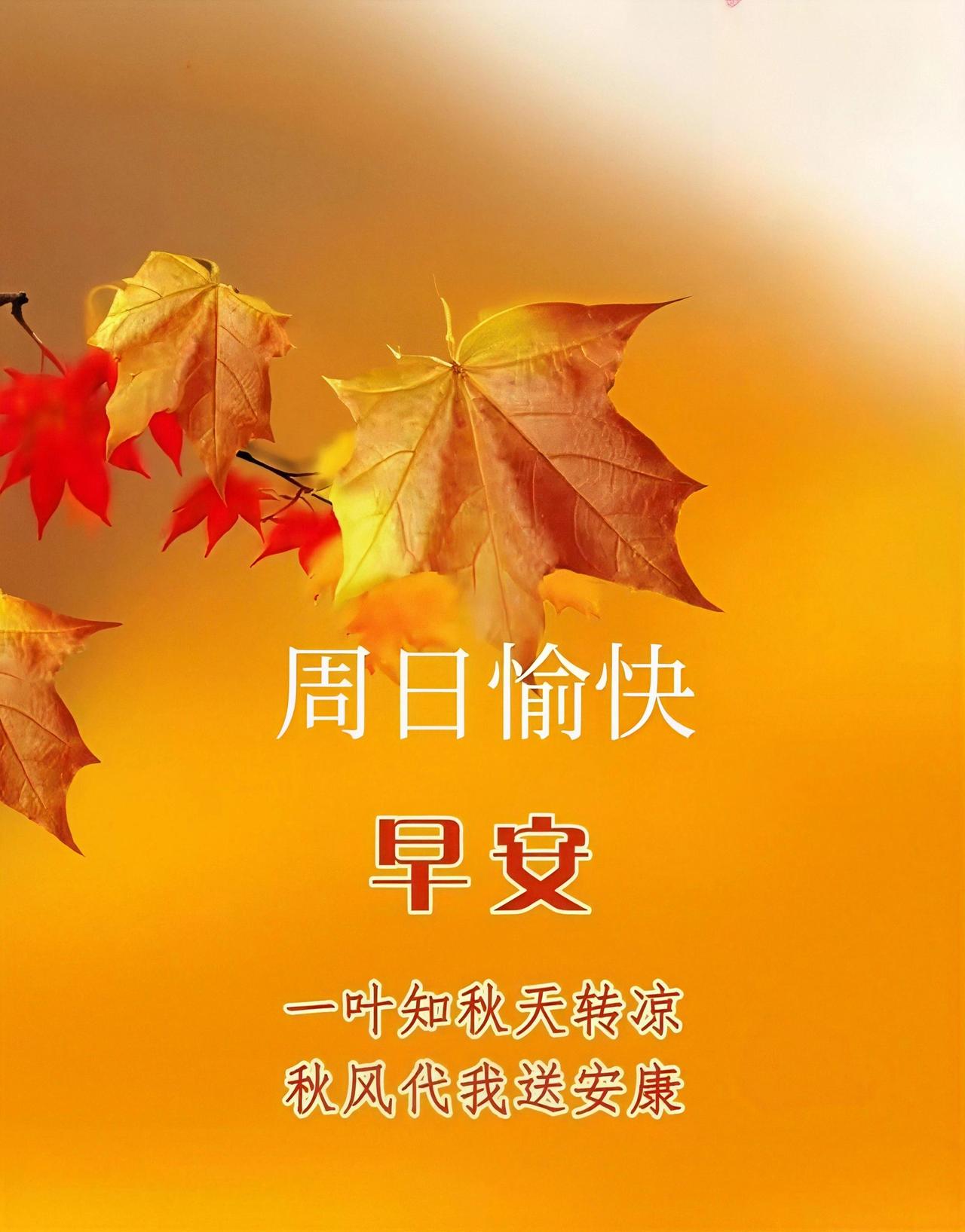 周日早安！秋风将叶片晕染成暖色调，悄然捎来安康。愿你在这秋日转凉的清晨，心境也满