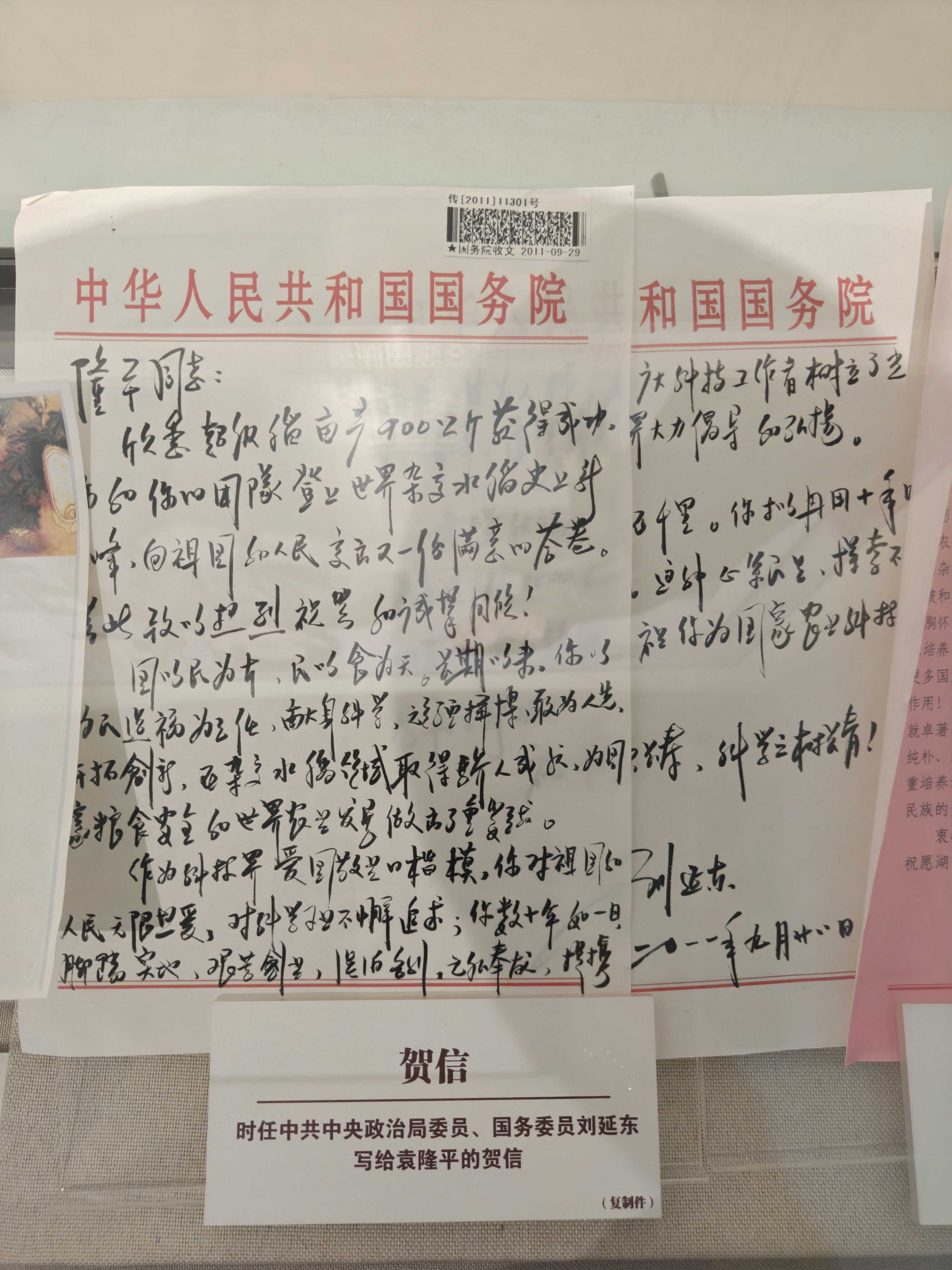 此刻，在杂交水稻博物馆，看到了延东同志给袁隆平院士写的亲笔信，字写的是真好啊。万