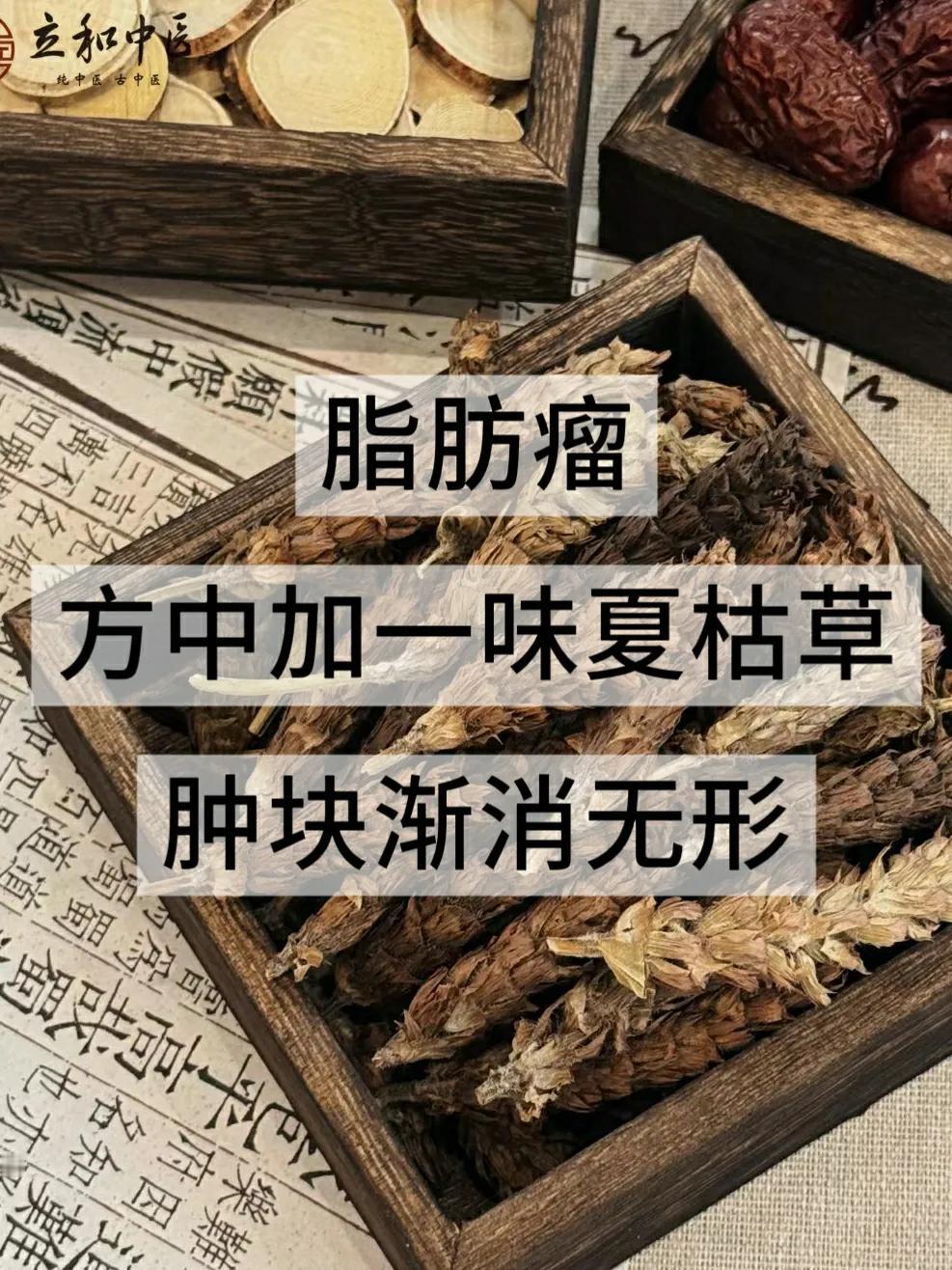 脂肪瘤，方中加一味【夏枯草】，肿块渐消无形！中医论及脂肪瘤，多认为其属“痰核