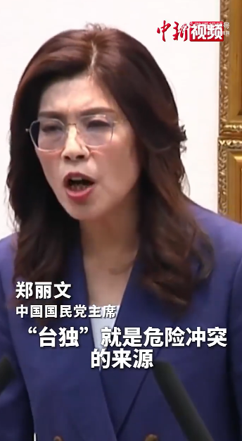 郑丽文赴美前表态：不会偷渡“台独”