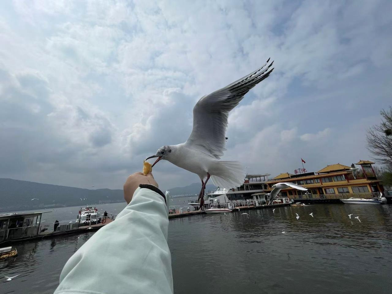 真人真事：一网约车司机智擒两个国外间谍，最后两个间谍被抓！网约车司机陈师傅真的