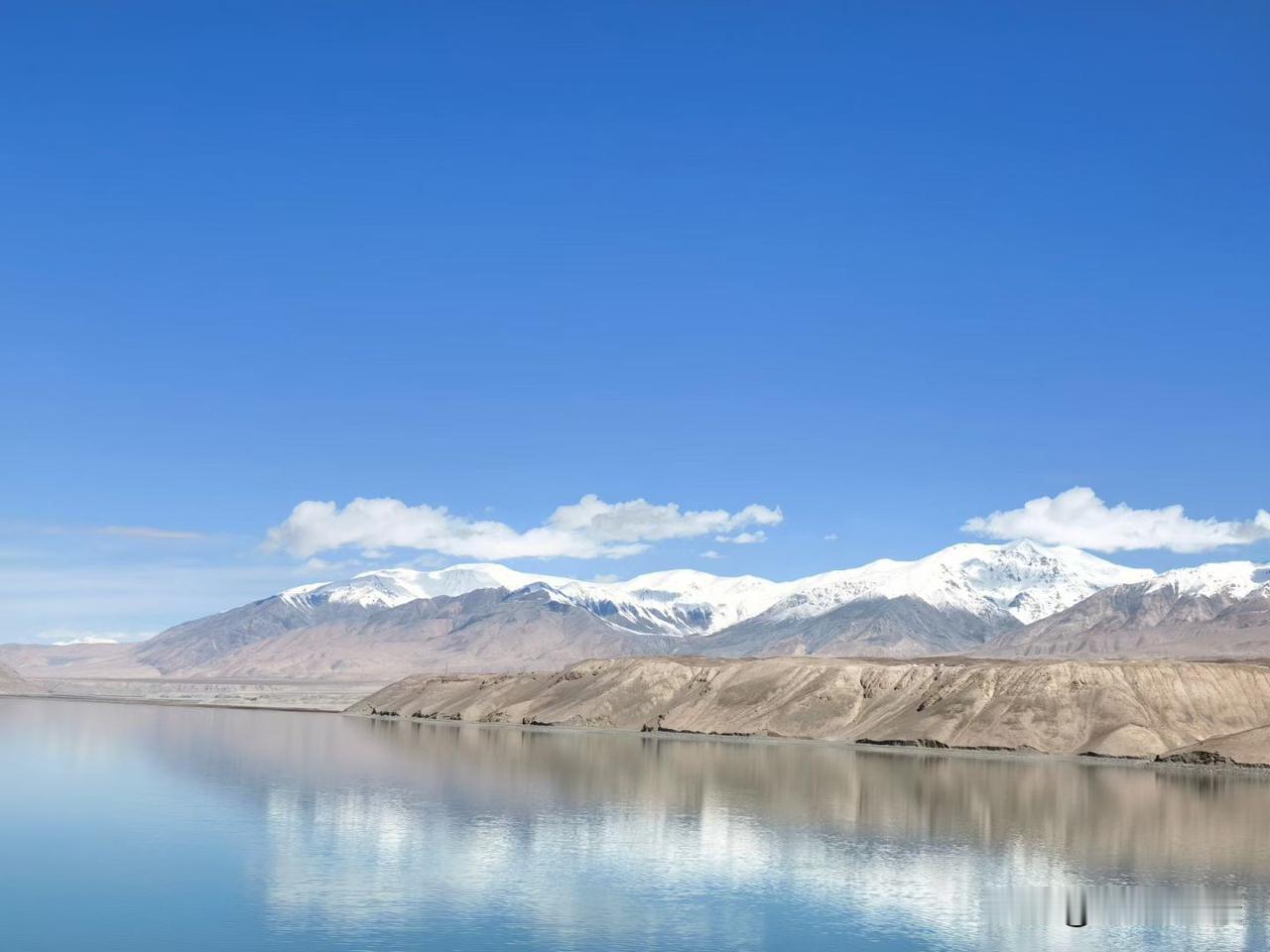 既然散户在出，主力就是在做踢，尤其是在渣男方向。那散户出的筹码又是谁在接？聚