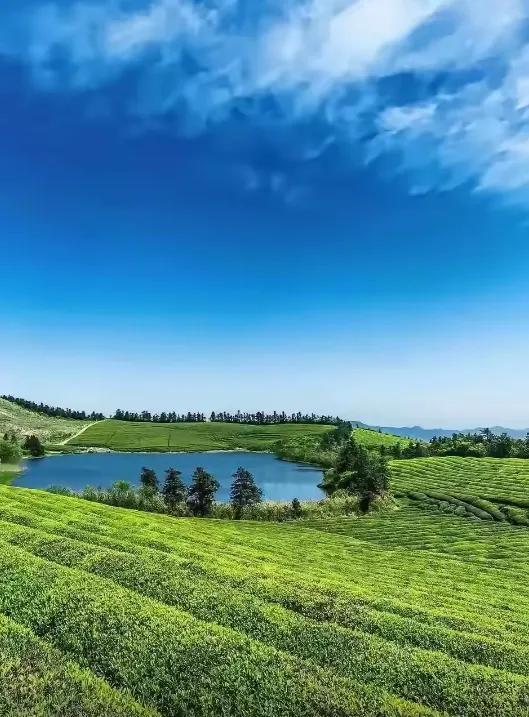 大彻大悟的一段话：人老了才知道，房子靠不住，钱也靠不住，老伴也靠不住，唯一靠得住