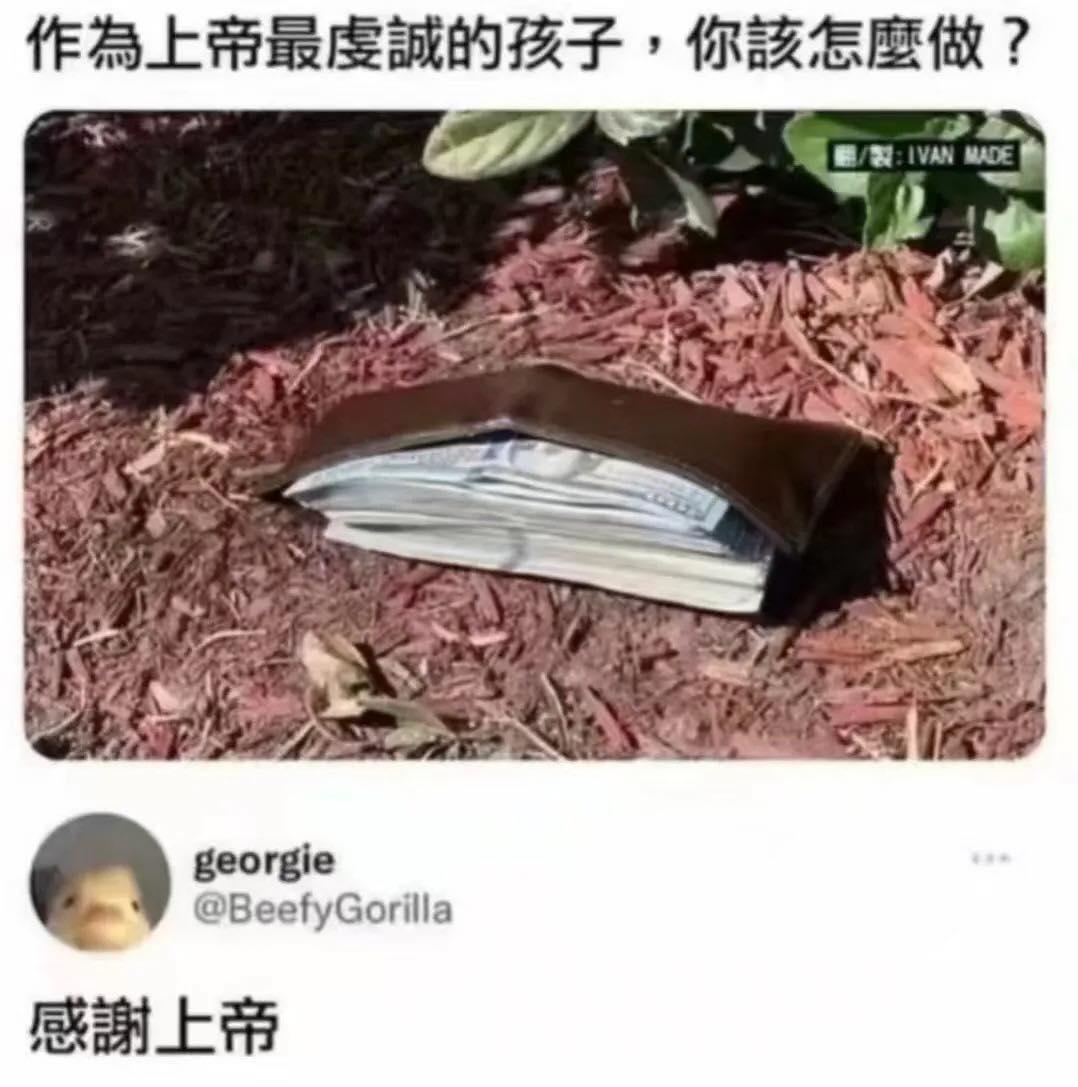 假如你在荒无人烟的地方看到了这个，你会怎么做？