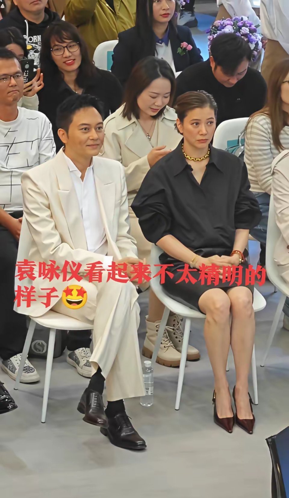 袁咏仪看起来不太精明的样子，但是又能把张智霖拿捏的死死的袁给人一种隔壁家大婶的感