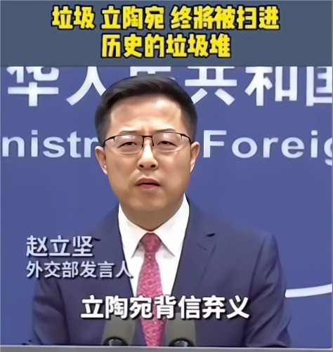 立陶宛恩将仇报挨揍了想象一下你有个困难时总伸手帮忙的朋友