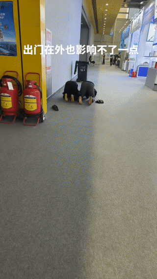 广交会会场，看到有不少外国黑人在会场一角跪拜祈祷？看起来像是正在做礼拜？其实