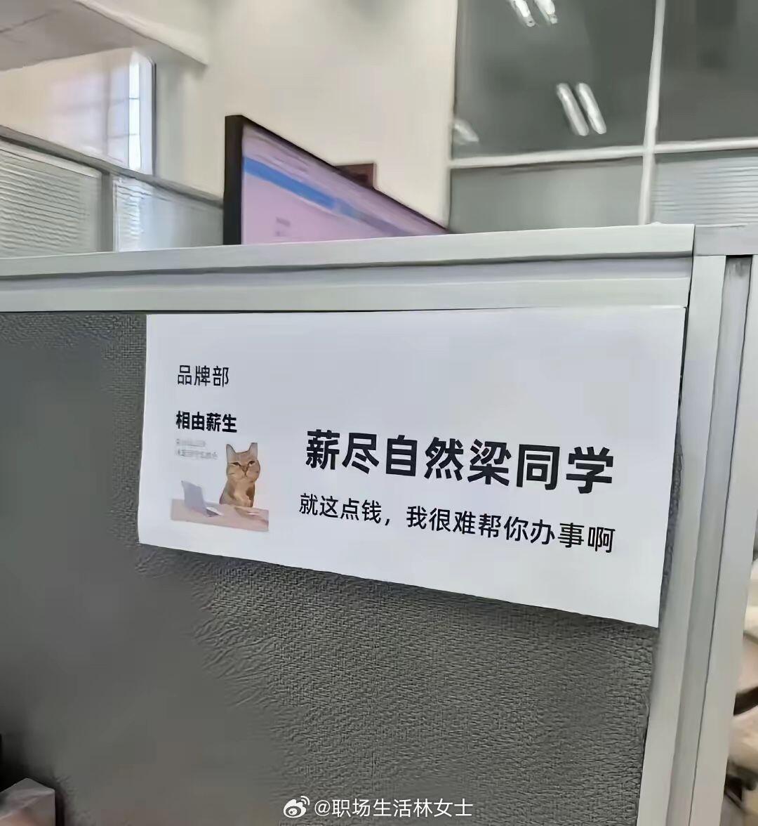 当你有一批有梗且会取名的同事​​​