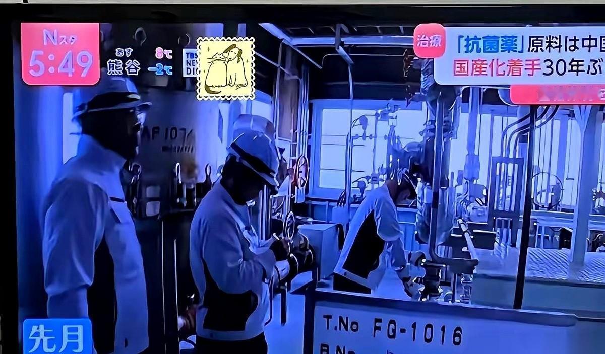 一声令下，日本那条落满灰尘、停了整整38年的抗生素生产线，被硬生生通上了电。要