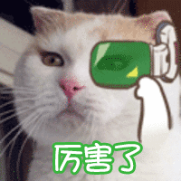 我很佩服现实工作中的多面手，不管做什么行业，什么岗位都能胜任！这真的很厉害我有个