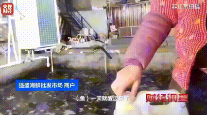 广而告之，鱼也不能吃了？！3月22日央视曝光：海鲜市场为了防止运输过程中掉鳞，