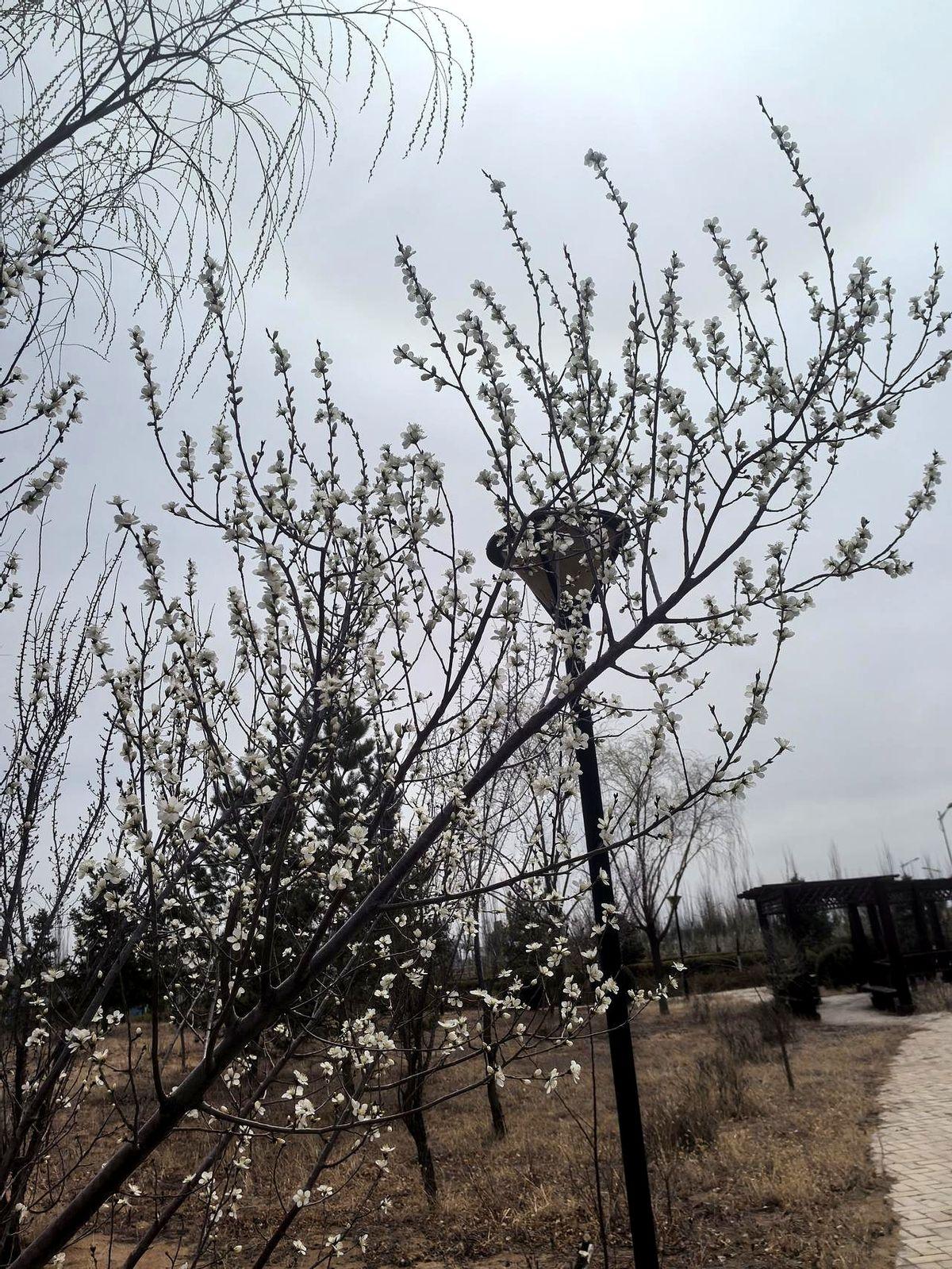 昨晚，朋友圈里那些考研的朋友，好像一夜之间又活了过来。手机屏幕的光映在他们熬红