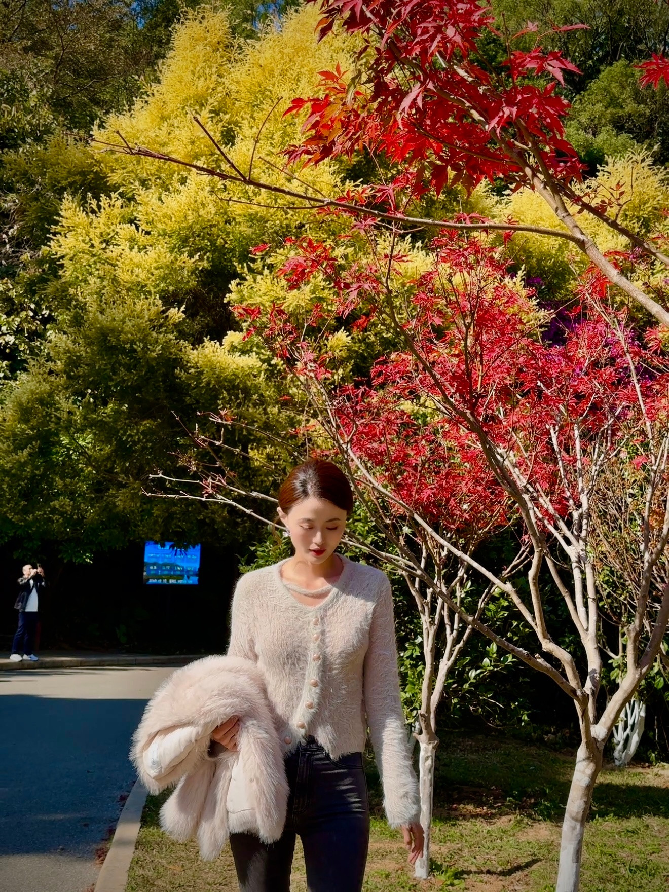 山在树在自由自在🍀🍃🍁