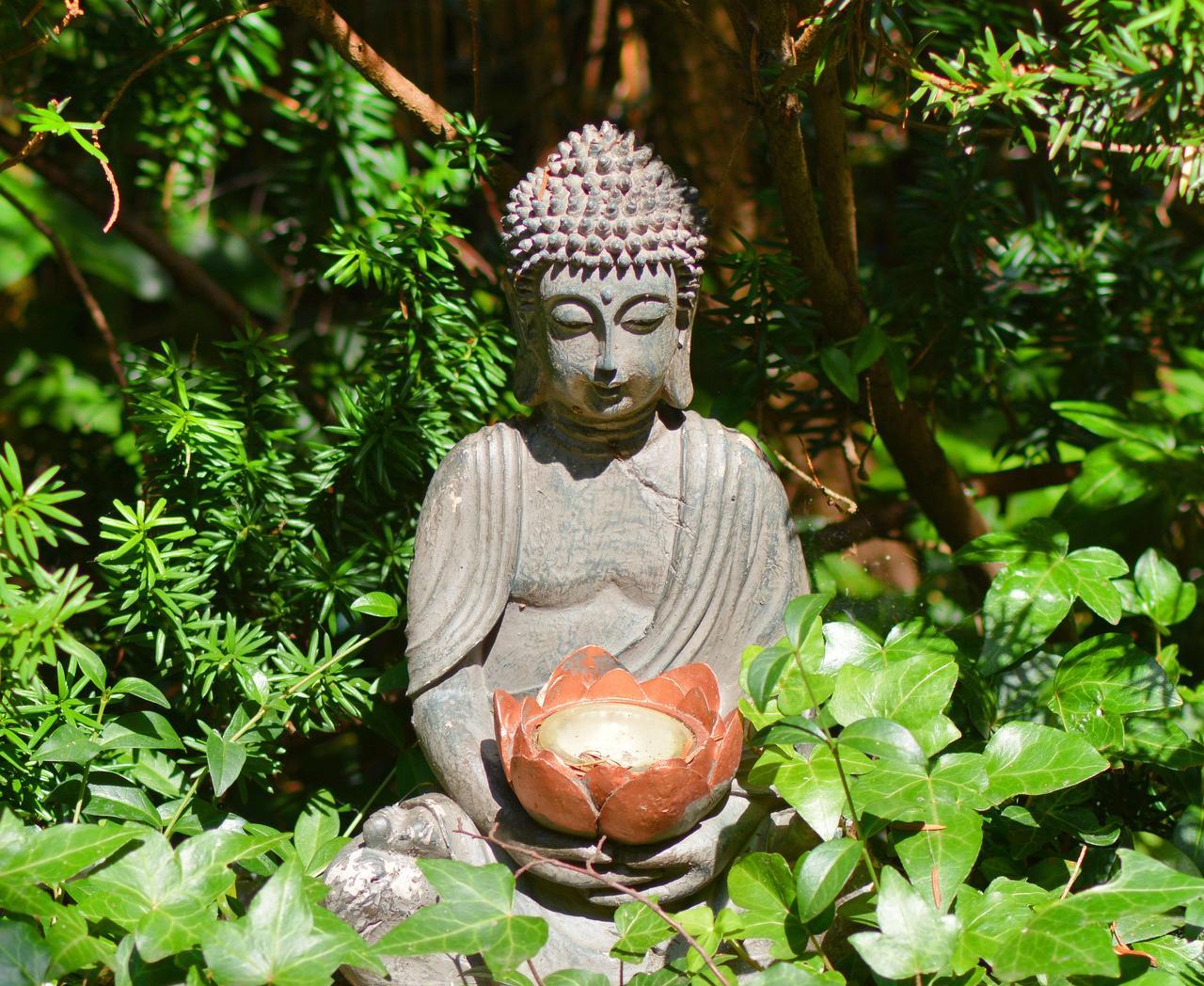 繁华处莫失本真，冷寂处莫失信念。你已经很棒了，尽己所能活向人生宽阔处，活向心头的