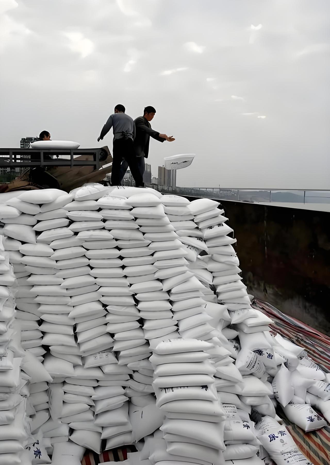 我发现了一个问题，国内尿素价格在1700元每吨，而国外的价格却是国内的三倍左右。