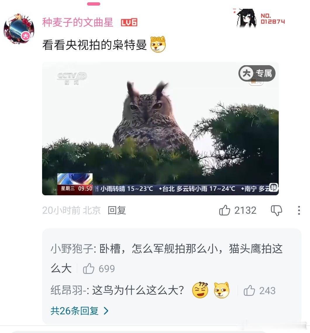 道理我都懂