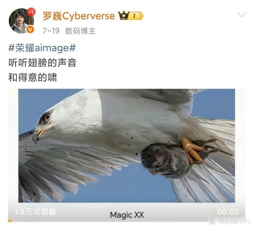 如果罗巍还在华为而不是在荣耀，这么干估计会产生很大的舆情吧？​​​