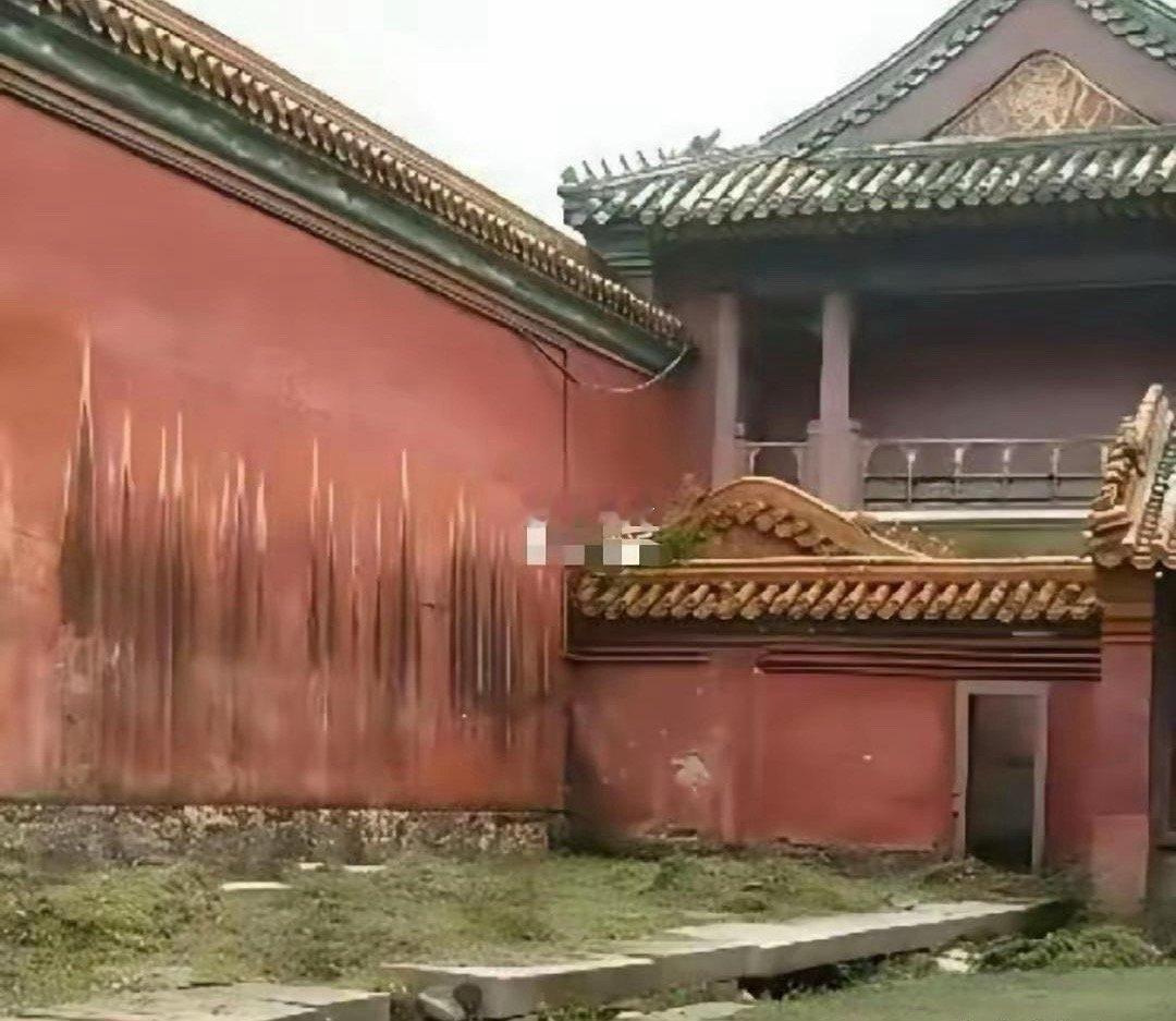 原来这才是冷宫怪不得妃子都疯了