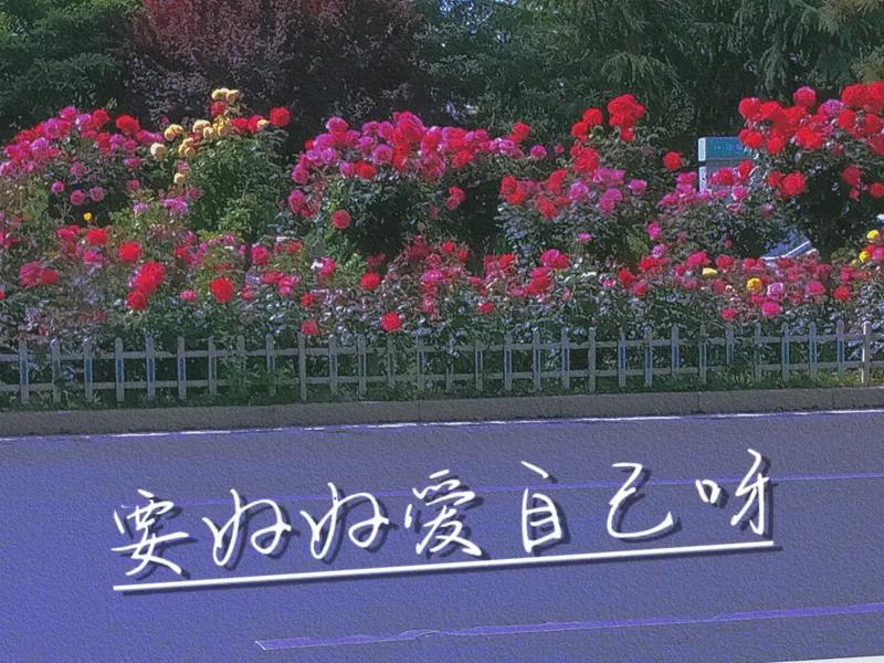 友友说的太好了偶尔疯一下才是对自己最好的温柔[赞]照顾自己是真谛余生要放