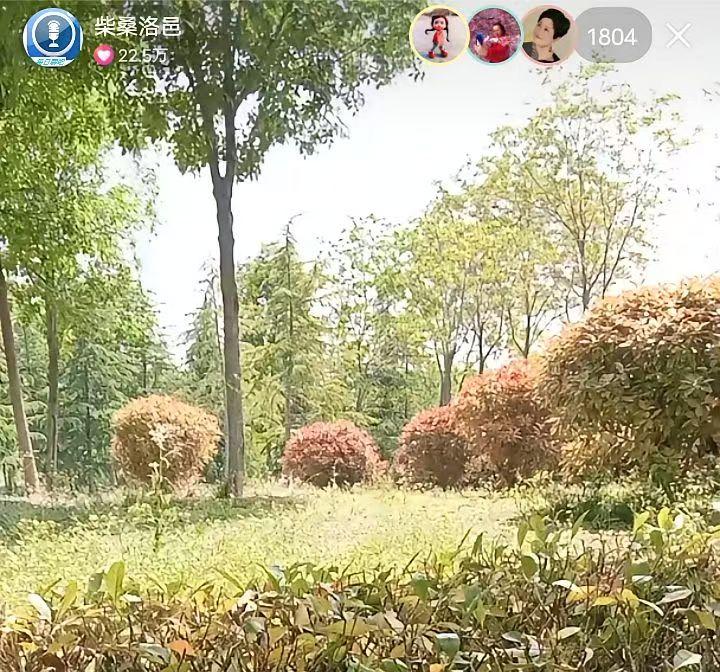 柴桑大姐真是好脾气，居然还回应了网上的一些传言！不是好脾气，而是溜子们不值得。