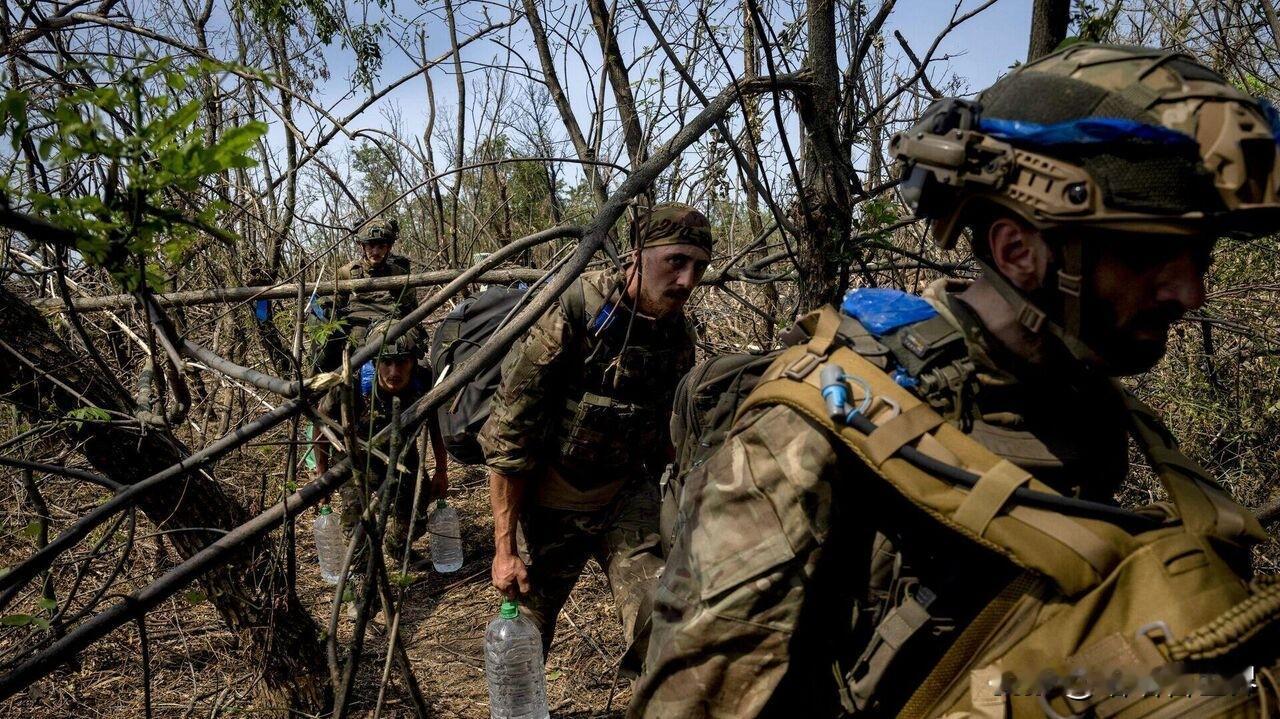 乌突击部队“折戟”，高层指挥或生变！11月30日俄罗斯媒体报道称，乌克兰突击