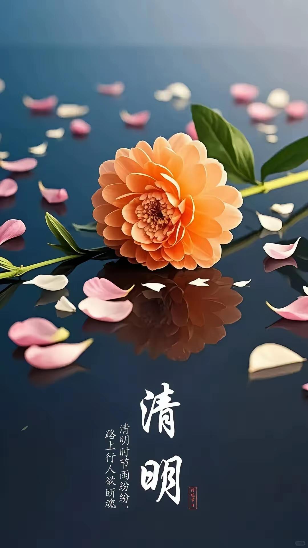 清明节到了，这两天，网上火爆了一句话:父母在，清明是回家；父母走了，清明是上坟！