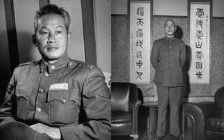 1990年，被软禁33年的孙立人病逝后留遗言：不葬大陆，棺材不入土 知人知面