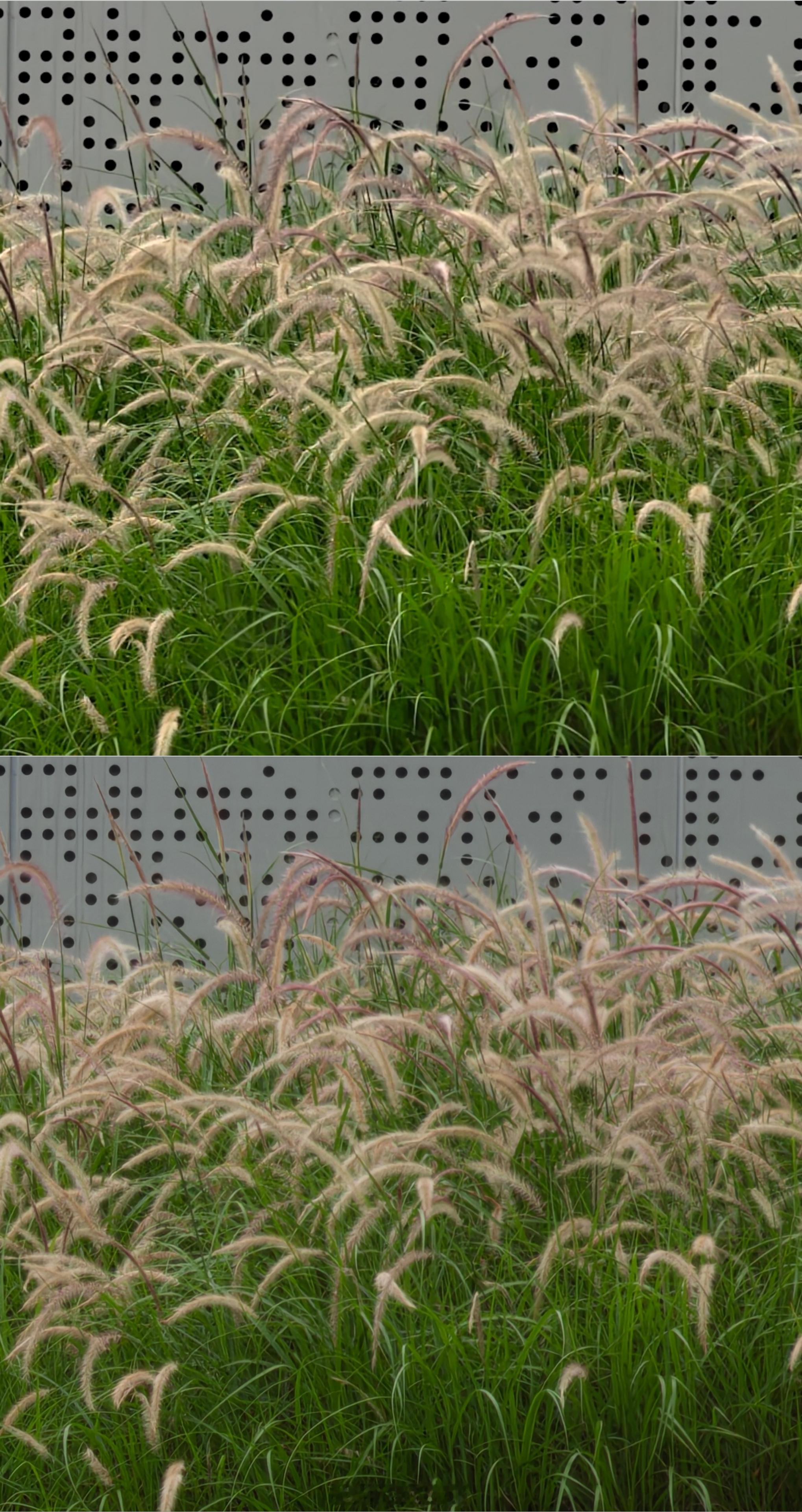 vivoX300Ultra相机测试，谁才是静态画质之王第2波，长焦画质对比