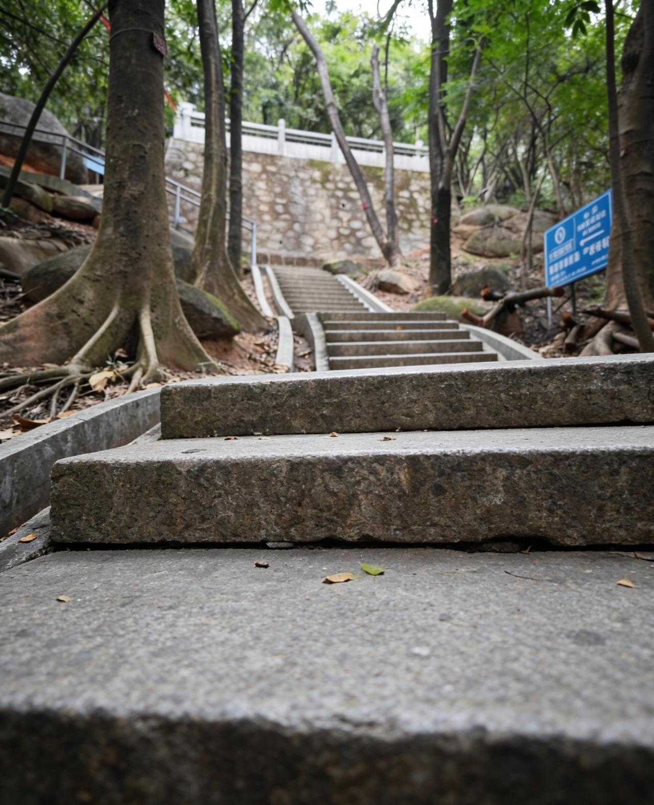 黄埔龙头山石阶小径，森系拍照绝了📍广州龙头山森林公园·停车场-石阶小径黄