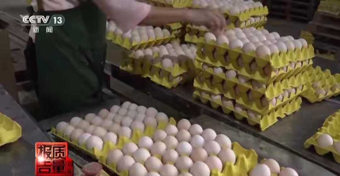 你曾经为买什么价位的鸡蛋纠结过吗？现在好了，都不用再纠结了，央视给出了结果。
