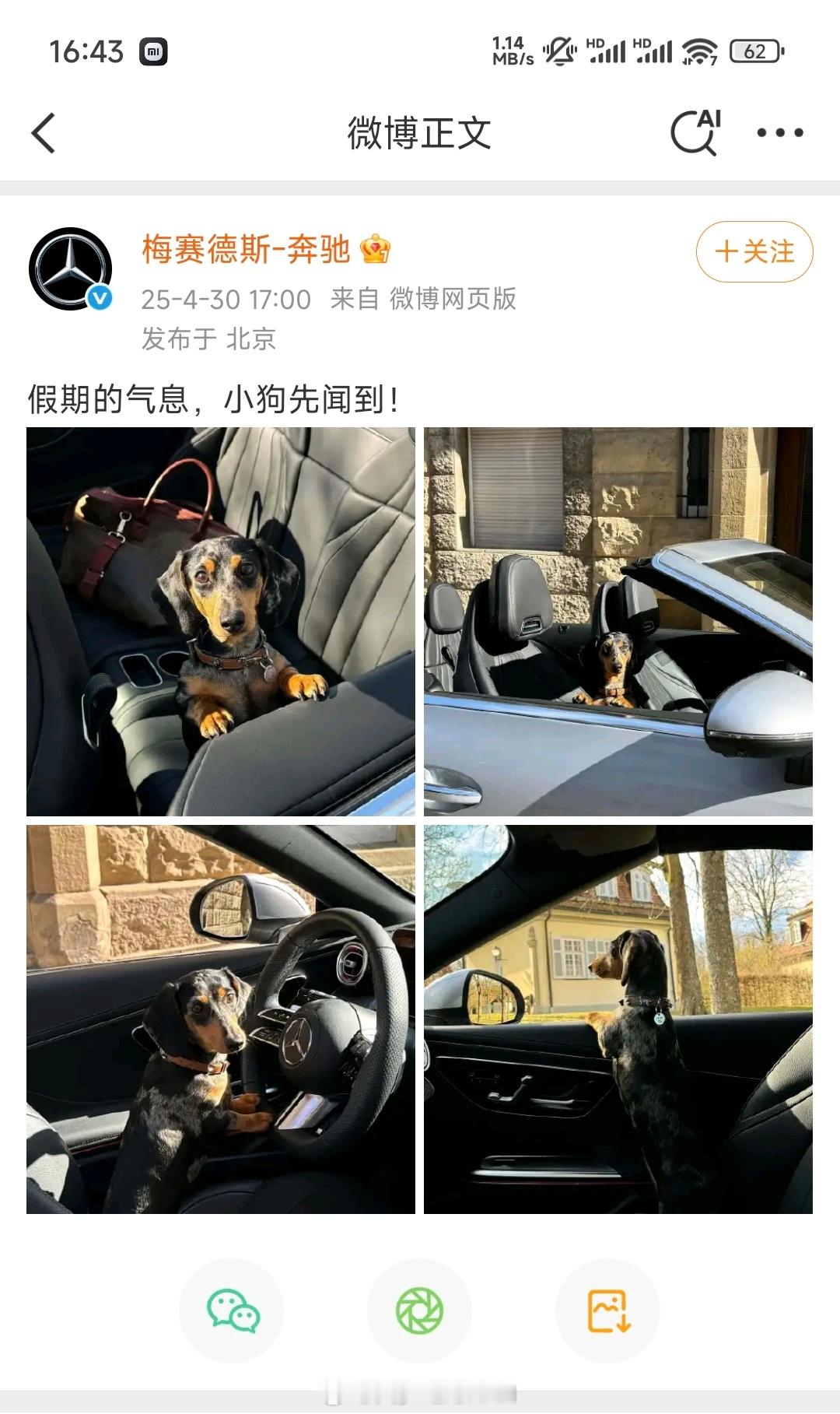 哈哈哈，不好意思，我们不放假。[doge]​​​