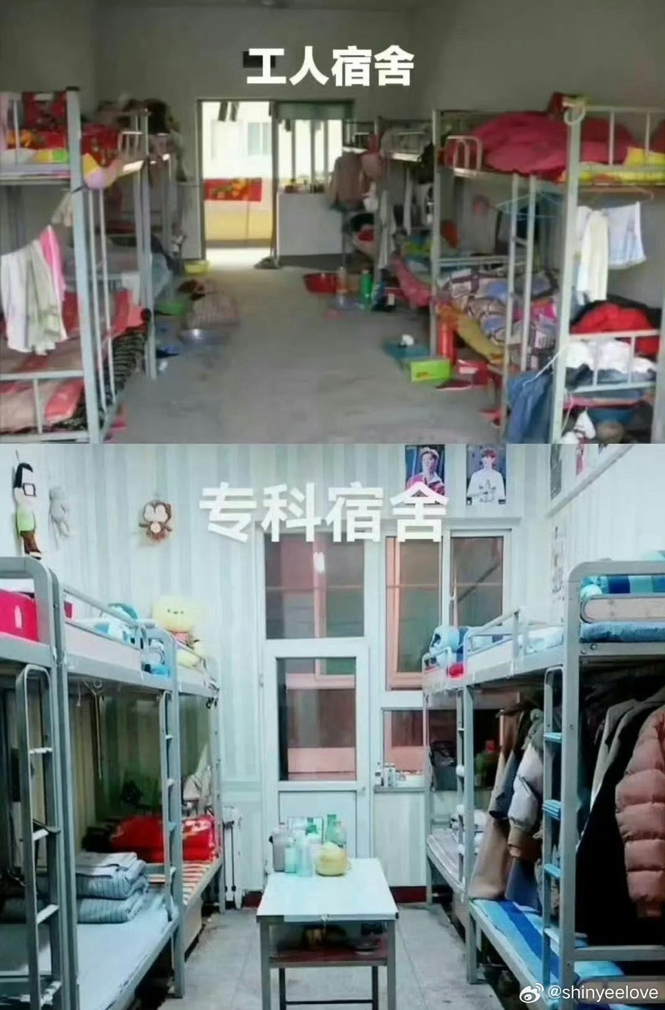 看完不同层级的宿舍环境，终于懂为啥一定要拼个好学历