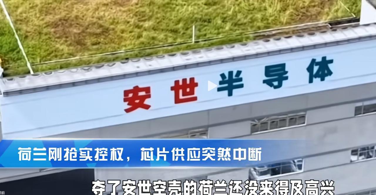 不能开心得太早！在我们都在笑话荷兰抢安世抢了个寂寞的时候，没想到商务部部长已紧急
