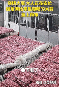 上人民日报了。近日，江苏两个小孩立大功了，他们的举动，直接让全网都竖起了大拇指