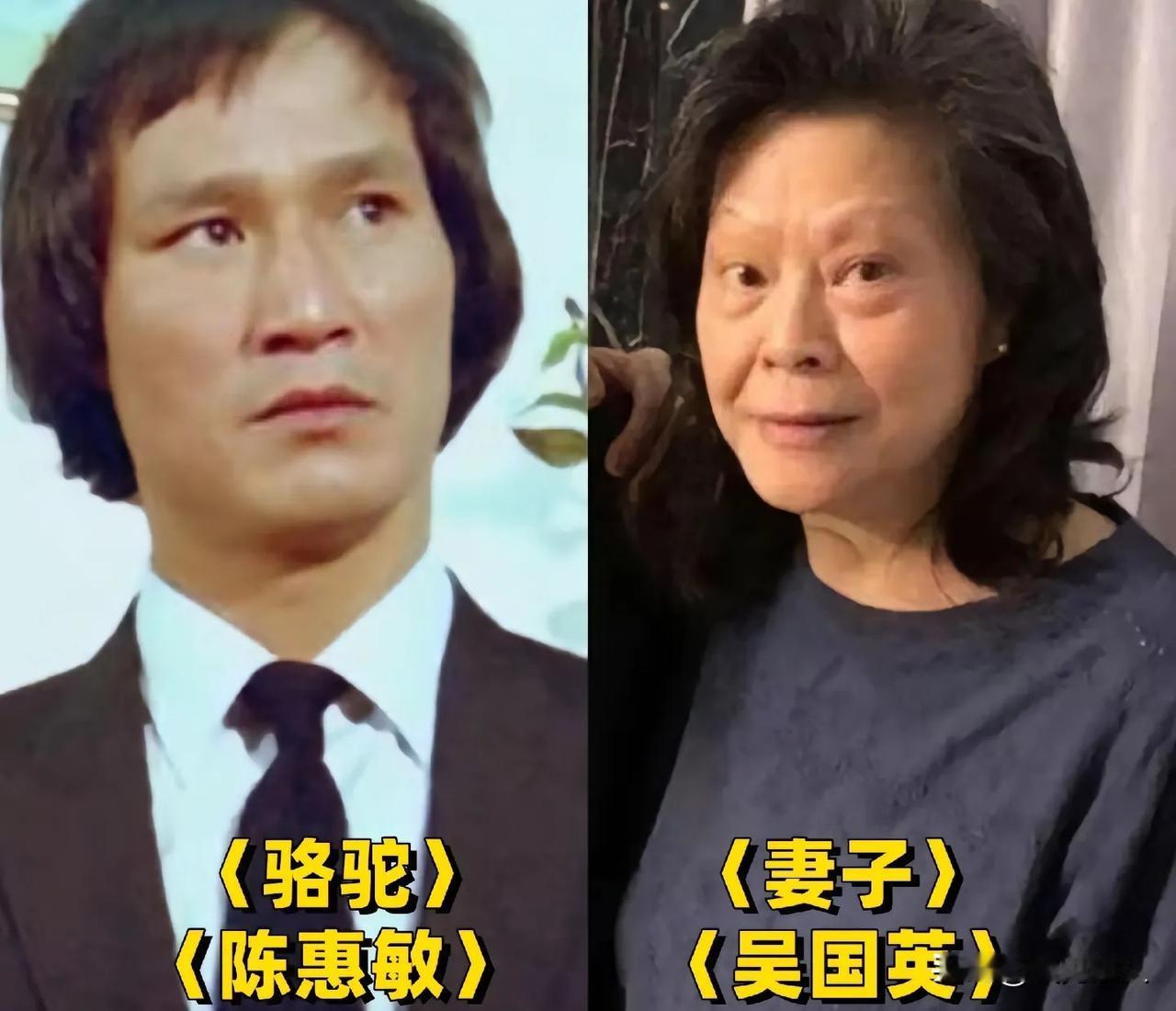 古惑仔主演真实夫妻颜值大比拼！每一对都超有夫妻相，第二对更是盛世美颜！第六对黎姿