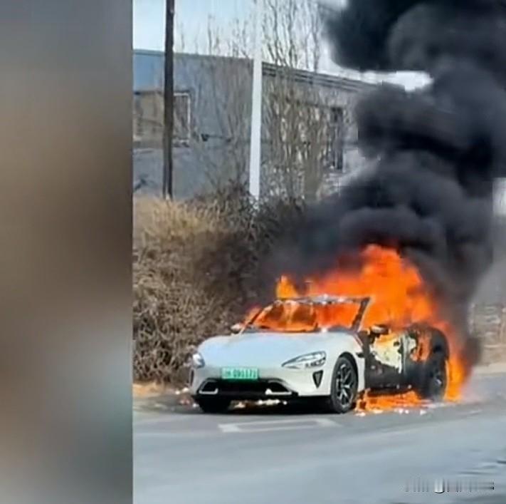 吓人，2.1日辽宁，某国产新能源汽车爆燃现场，火花四溅，黑烟滚滚，吓得旁边行