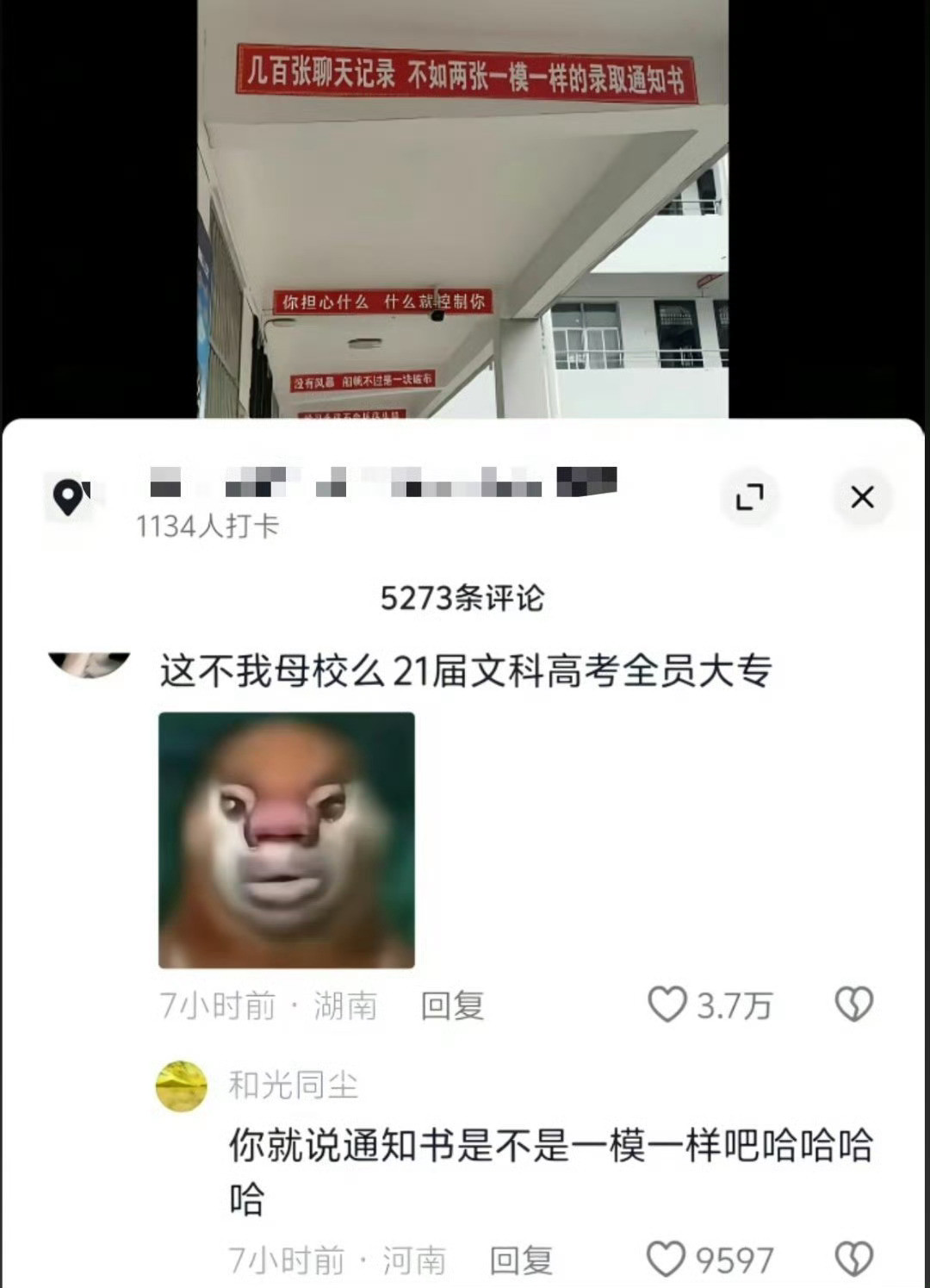 卧槽我笑的不行了