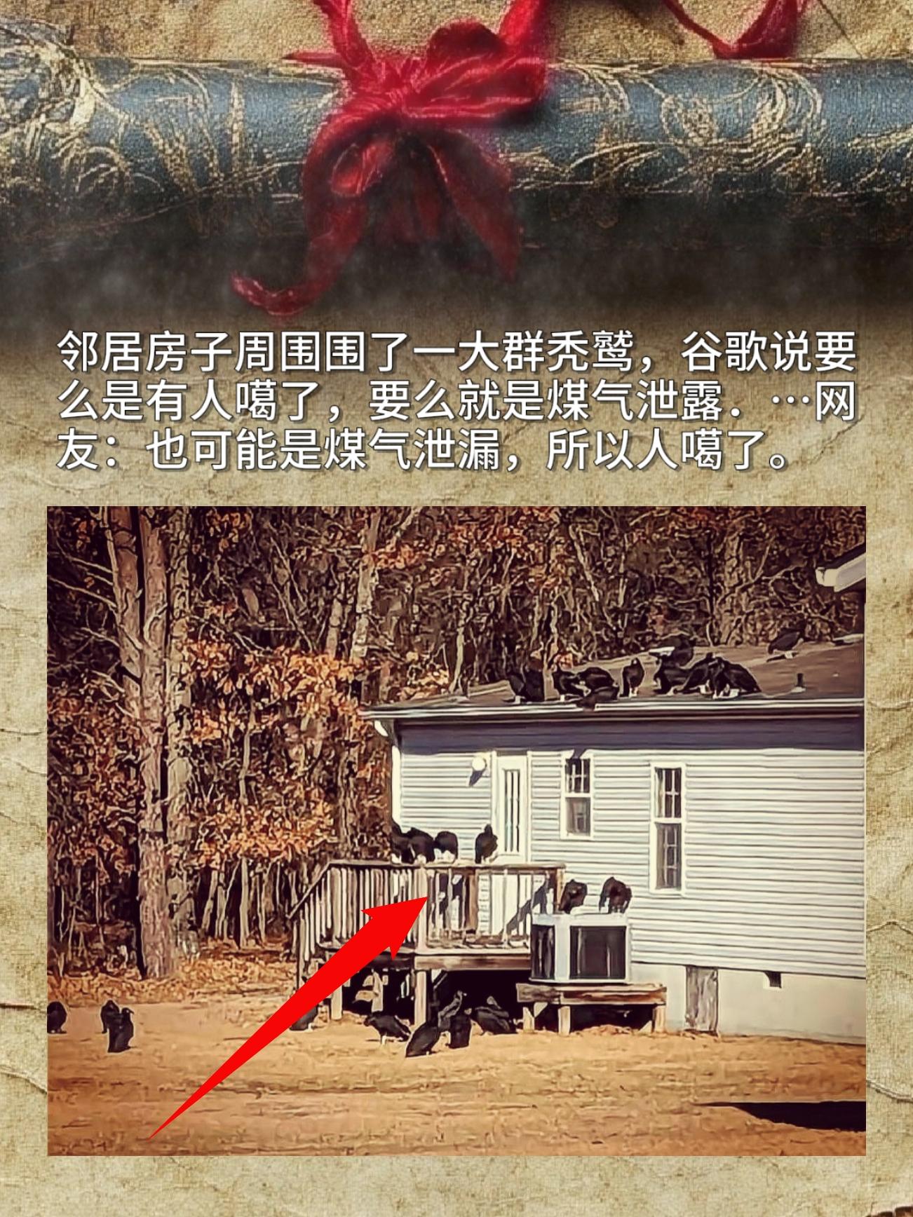 邻居房子周围围了一大群秃鹫，谷歌说要么是有人噶了，要么就是煤气泄露，…...