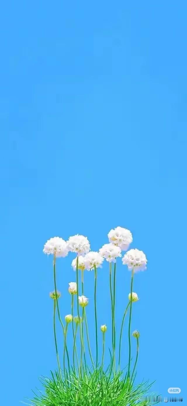 提起东北旅游，大多数人的第一反应不是哈尔滨的冰雪大世界，就是大连的海风与广场。长