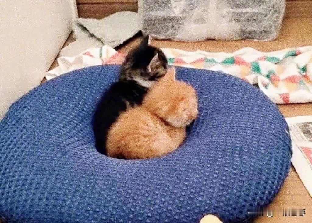 明明是一起长大的，为什么你去了趟奶奶家，就长这么快啊。